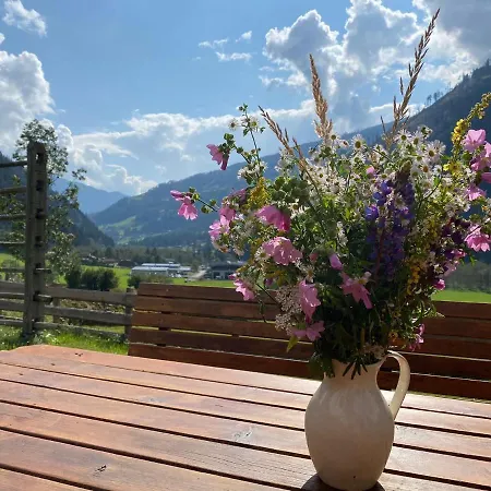 Chalet In In Carinthia With Sauna Chalet
