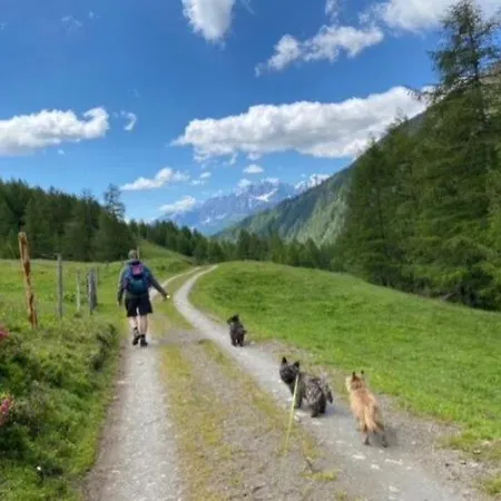 Chalet In In Carinthia With Sauna Chalet Großkirchheim